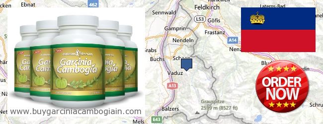 Dove acquistare Garcinia Cambogia Extract in linea Liechtenstein